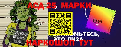 шишки Ярославль