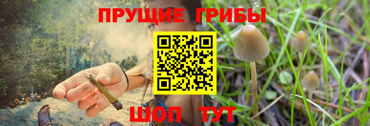 Псилоцибиновые грибы мухоморы  Вход с VPN  Грозный 