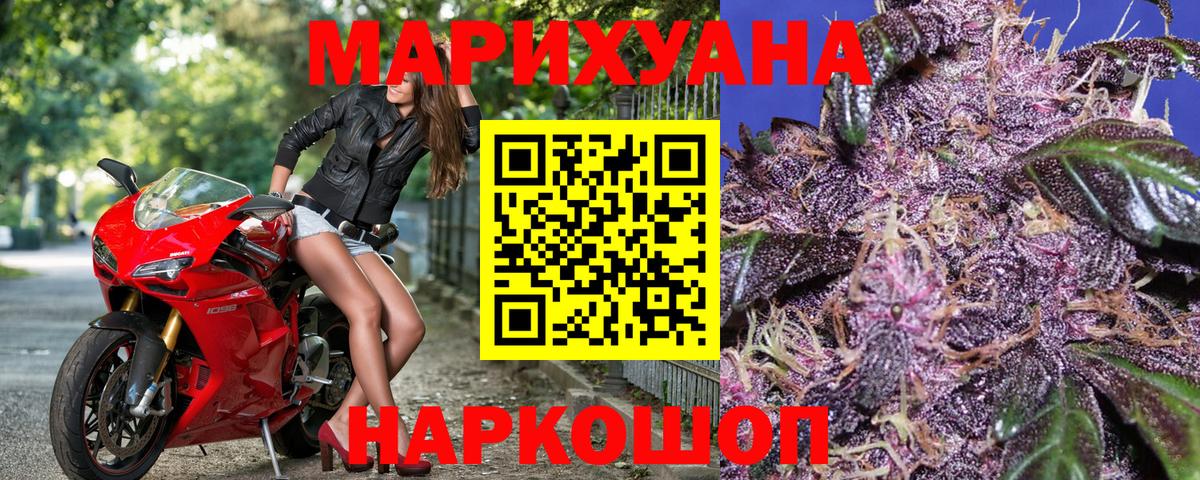 Грозный  Бошки Шишки Bruce Banner  Каннабис план  Вход с VPN  Конопля Amnesia 